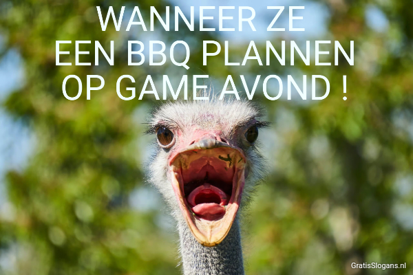 wanneer ze een bbq plannen op game avond 275 1