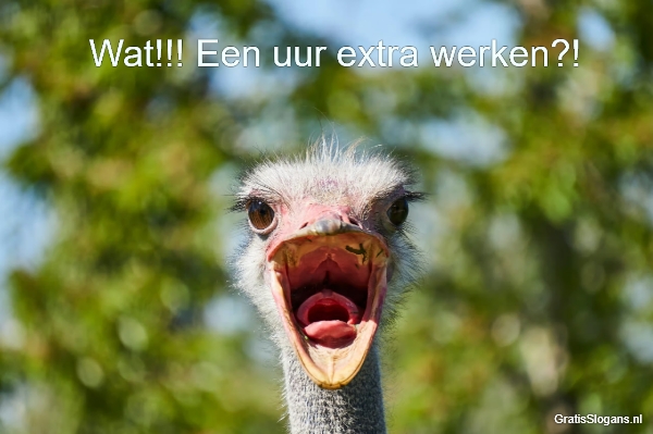 wat een uur extra werken 285 1